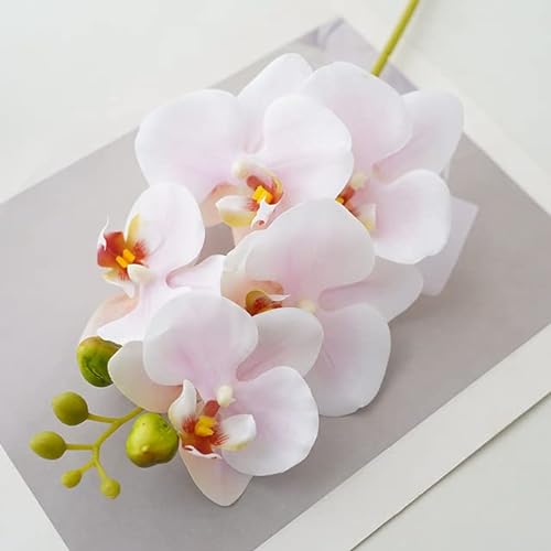 1 STÜCK Real Touch Künstliche Orchidee Blume Latex Weißer Schmetterling Orchideen Home Party Hochzeit Dekoration Gefälschte Blume-Hellrosa von DRJUSS