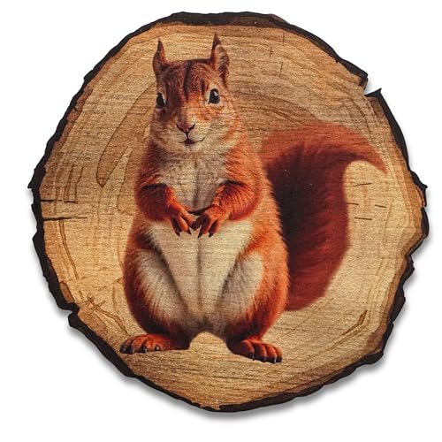 DRO Design Eichhörnchen - Größe 20cm - Rustikales Wandbild im Vintage Look – Holzoptik Wanddeko mit Motiv für Wohnzimmer und Flur – Geschenkidee für Tierliebhaber, Wandgemälde von DRO Design