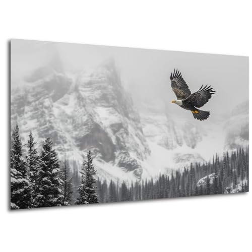 DRO Design - Wandbild 50x70 cm Adler – Modernes Bild auf HDF Platte – Poster Alternative – Dekoration für Wohnzimmer, Büro, Flur oder Schlafzimmer – Aufhängefertig mit Haken DRO Design - Wandbild 50x70 cm Adler – Modernes Bild auf HDF Platte – Poster Alternative – Dekoration für Wohnzimmer, Büro, Flur oder Schlafzimmer – Aufhängefertig mit Haken von DRO Design