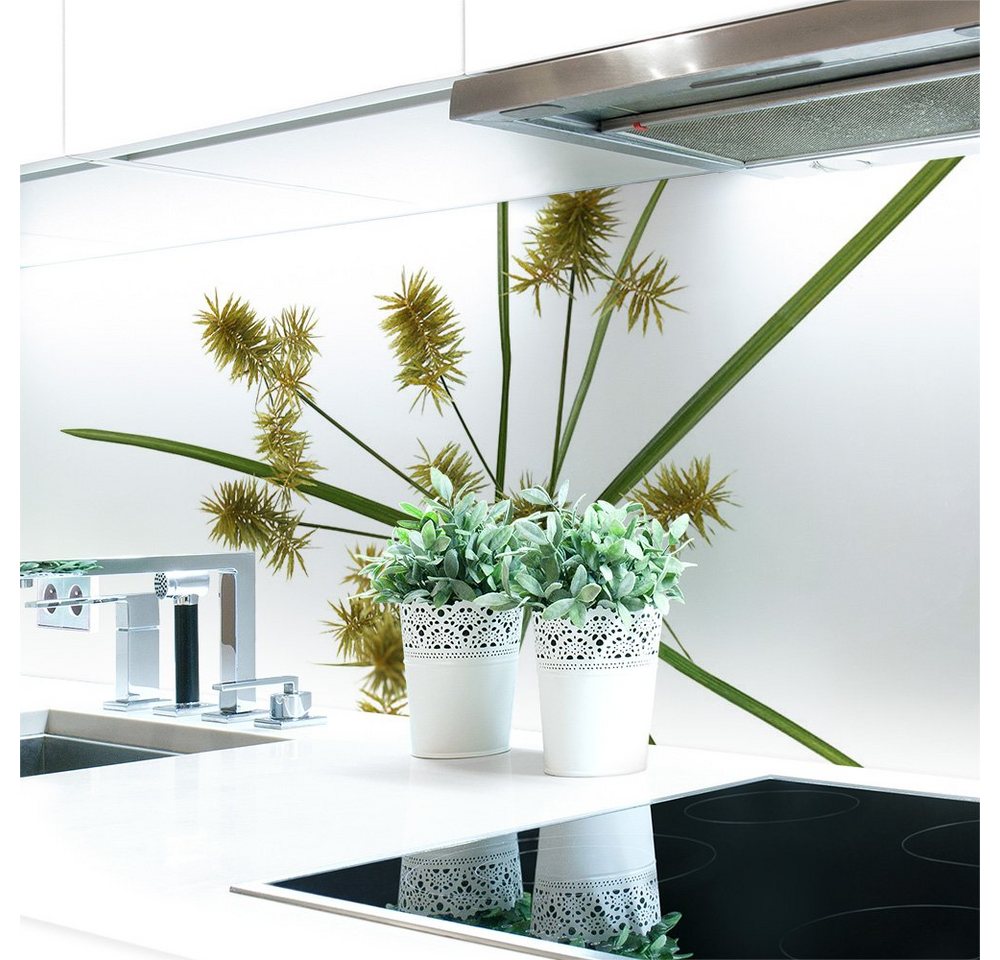 DRUCK-EXPERT Küchenrückwand Küchenrückwand Cyperus Blume Hart-PVC 0,4 mm selbstklebend von DRUCK-EXPERT