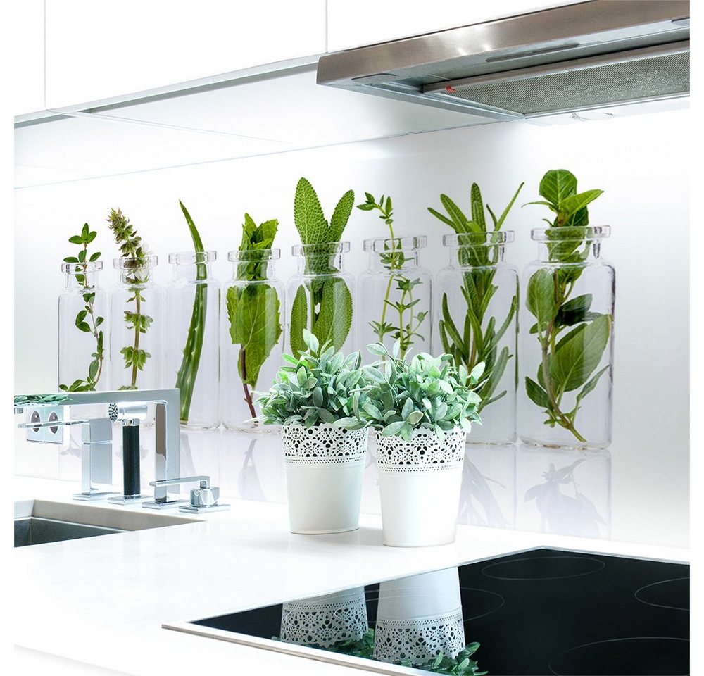 DRUCK-EXPERT Küchenrückwand Küchenrückwand Kräuter Glas Hart-PVC 0,4 mm selbstklebend DRUCK-EXPERT Küchenrückwand Küchenrückwand Kräuter Glas Hart-PVC 0,4 mm selbstklebend von DRUCK-EXPERT