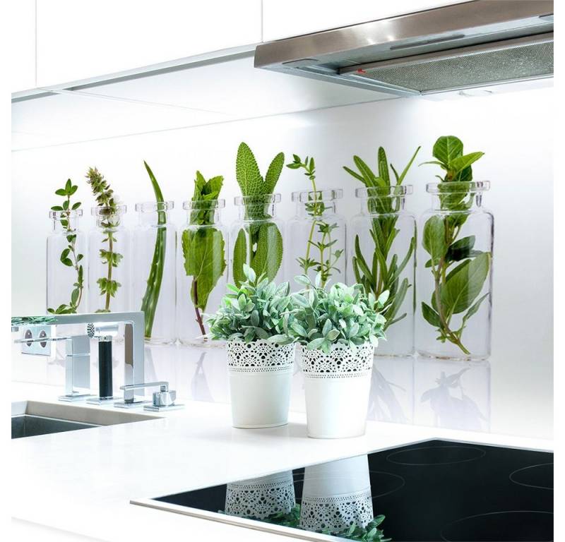 DRUCK-EXPERT Küchenrückwand Küchenrückwand Kräuter Glas Hart-PVC 0,4 mm selbstklebend von DRUCK-EXPERT