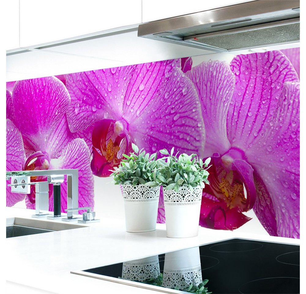 DRUCK-EXPERT Küchenrückwand Küchenrückwand Orchideen Blüte Hart-PVC 0,4 mm selbstklebend von DRUCK-EXPERT