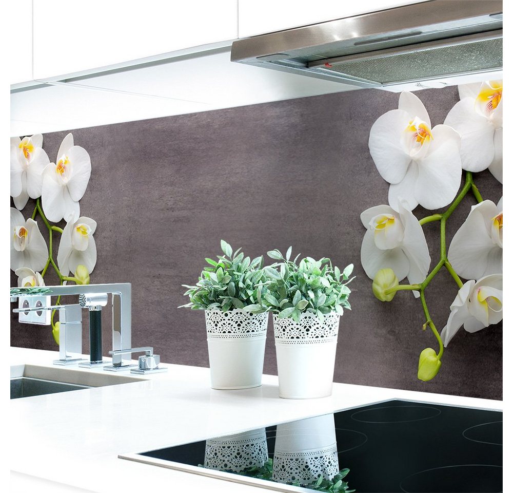DRUCK-EXPERT Küchenrückwand Küchenrückwand Orchideen Zweig Hart-PVC 0,4 mm selbstklebend von DRUCK-EXPERT