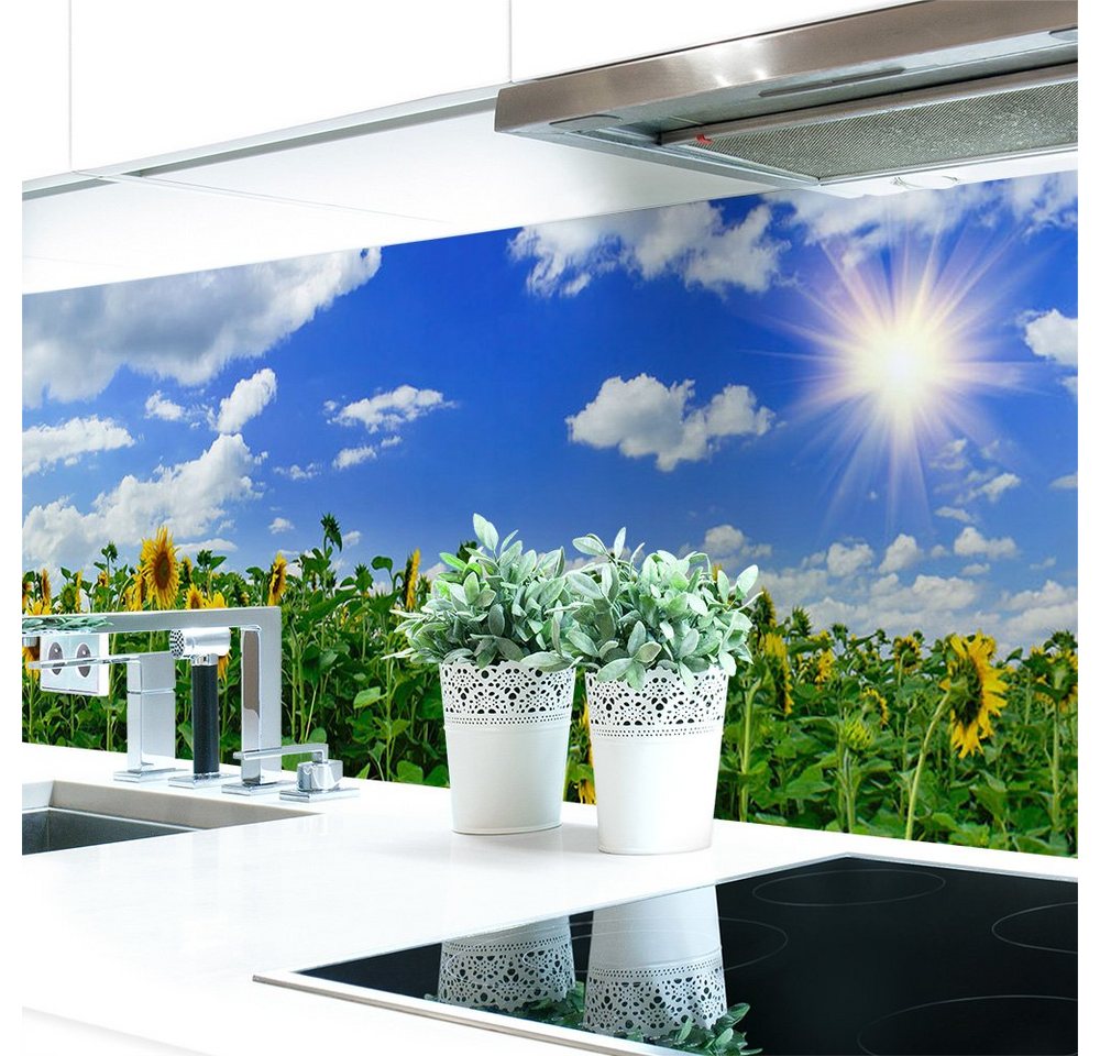 DRUCK-EXPERT Küchenrückwand Küchenrückwand Sonnenblume Hart-PVC 0,4 mm selbstklebend von DRUCK-EXPERT
