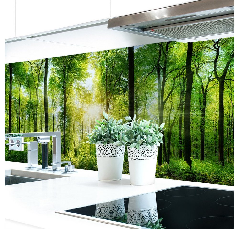 DRUCK-EXPERT Küchenrückwand Küchenrückwand Waldlichtung Hart-PVC 0,4 mm selbstklebend von DRUCK-EXPERT