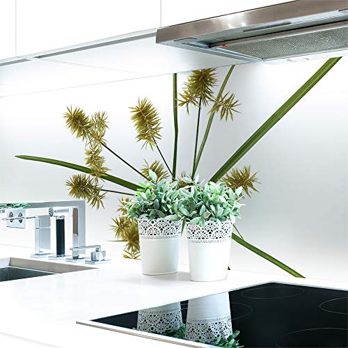 Küchenrückwand Cyperus Blume Premium Hart-PVC 0,4 mm selbstklebend - Direkt auf die Fliesen, Größe:Materialprobe A4 Küchenrückwand Cyperus Blume Premium Hart-PVC 0,4 mm selbstklebend - Direkt auf die Fliesen, Größe:Materialprobe A4 von DRUCK-EXPERT
