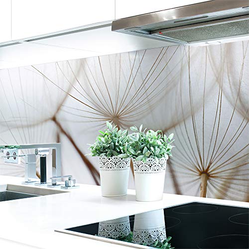 Küchenrückwand Löwenzahn Braun Premium Hart-PVC 0,4 mm selbstklebend - Direkt auf die Fliesen, Größe:220 x 51 cm von DRUCK-EXPERT