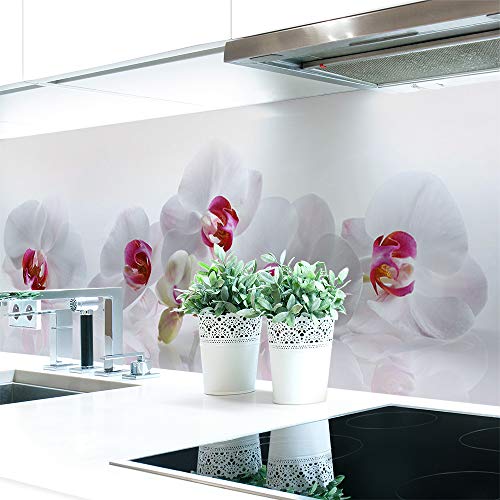 Küchenrückwand Orchidee Premium Hart-PVC 0,4 mm selbstklebend - Direkt auf die Fliesen, Größe:340 x 51 cm von DRUCK-EXPERT