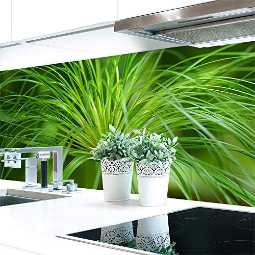 Küchenrückwand Papyrus Pflanze Premium Hart-PVC 0,4 mm selbstklebend - Direkt auf die Fliesen, Größe:280 x 60 cm von DRUCK-EXPERT