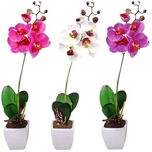 DRULINE 3er Set Orchideen - Phalaenopsis - Kunstblume - Seidenblumen - Kunstblumen im Topf - B/H/T ca.10 x 45 x 10 cm - weiß/pink/lila - künstlich aufeinander abgestimmtes Arrangement in Keramiktöpfen von DRULINE