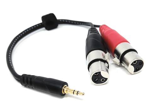 DRUT 3,5-mm-Stereo-Klinkenstecker auf 2 x XLR-Buchsen-Kabel – Audio-Splitterkabel für Mikrofone, Mischpulte, Lautsprecher, DJ, Studio und Aufnahmegeräte (0,3 m) von DRUT