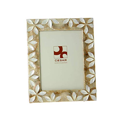 DRW - Bilderrahmen aus Perlmutt für Foto 10 cm x 15 cm mit Blumen in Weiß und Beige von DRW
