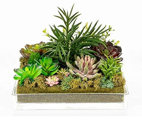 DRW Blumenzentrum mit festem Wasser mit Sukkulenten aus Glas und Kunststoff in Grün, 24 x 24 cm von DRW