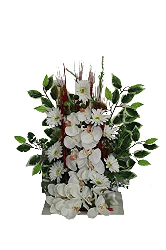 DRW Centro Blumen Zementhof Santos Orchideen weiß 57 x 62 cm, gelb, Medidas: 64x55 cm von DRW