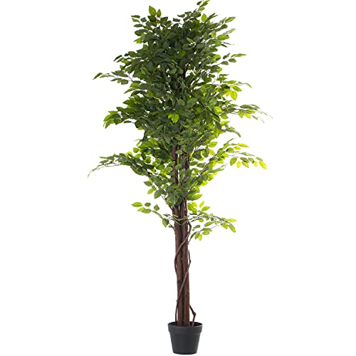 DRW Künstliche Pflanze aus PU-Ficus in Grün, 180 x 25 x 25 cm von DRW