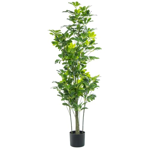 DRW Künstliche Schefflera aus PU, Grün, 20 x 20 x 155 cm von DRW