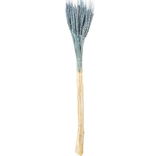 DRW Set mit 12 Sträußen aus natürlichen Weizen, konserviert in Blau, 1 x 1 x 70 cm DRW Set mit 12 Sträußen aus natürlichen Weizen, konserviert in Blau, 1 x 1 x 70 cm von DRW
