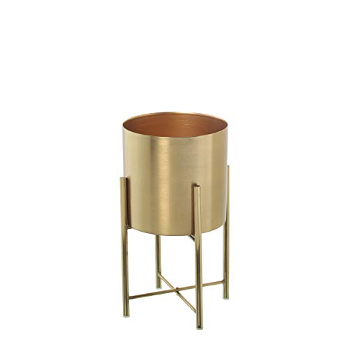 DRW Set mit 2 Blumentöpfen mit Halterung aus Metall in Gold, 27,5 x 45 cm, Blumentopf 24 x 23 cm DRW Set mit 2 Blumentöpfen mit Halterung aus Metall in Gold, 27,5 x 45 cm, Blumentopf 24 x 23 cm von DRW