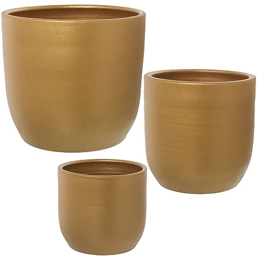 DRW Set mit 3 Pflanzgefäßen aus Keramik, Hellbraun, 29 x 28, 22 x 22 und 17 x 16 cm DRW Set mit 3 Pflanzgefäßen aus Keramik, Hellbraun, 29 x 28, 22 x 22 und 17 x 16 cm von DRW