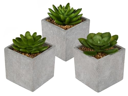 DRW Set mit 3 künstlichen Sukkulenten mit Topf, 8 x 8 x 10 cm von DRW