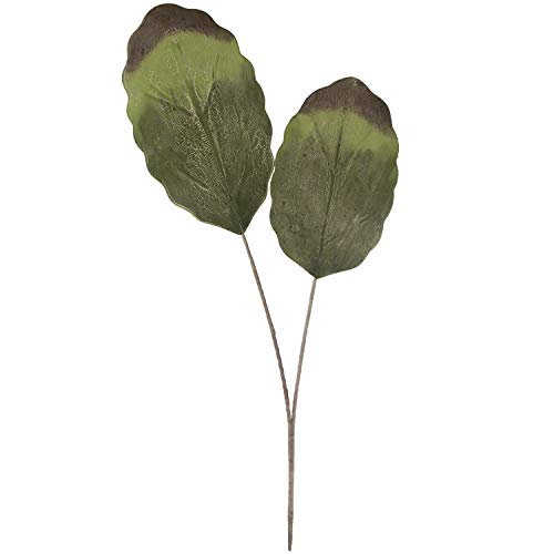 DRW Set mit 6 Zweigen mit 2 künstlichen Eva-Schaum in Grün 127 cm, Blätter 55 x 30 cm und 28 x 35 cm von DRW