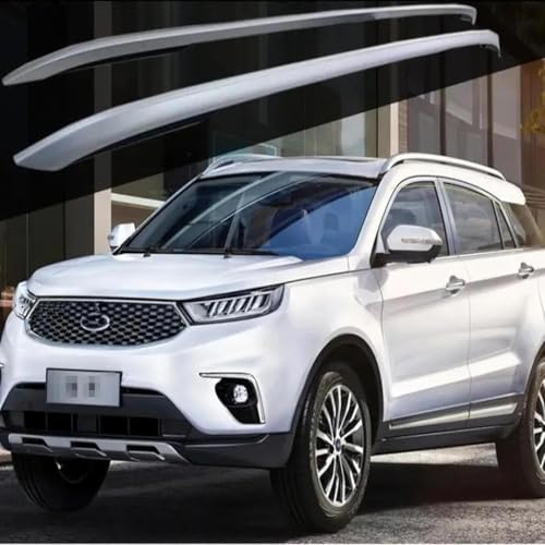 DRYFAL 2 Stück Auto Dachträger Längsstange für Ford Territory 2019 2020 2021 Aluminium Dachträger Vertikale Stange Transport Reisezubehör von DRYFAL