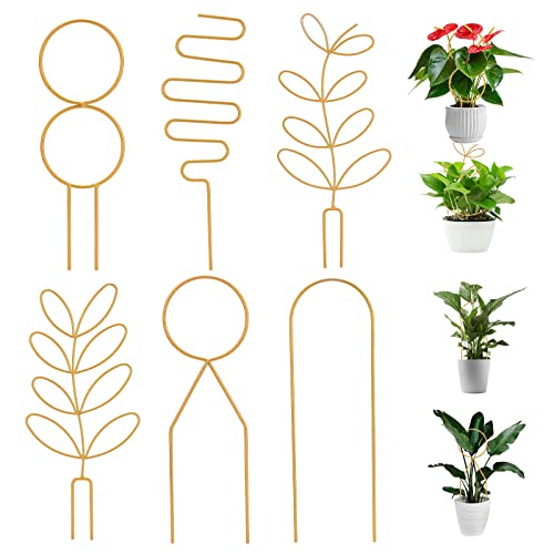DRYFAL 6 Stück kleine Metall-Rankhilfe für Topfpflanzen, goldenes Mini-Rankgitter für Kletterpflanzen, Zimmerpflanzen, Rankhilfe für Zimmerpflanzen, Zimmerpflanzen, Stützstab für Pflanzgefäß Rankhilfe von DRYFAL