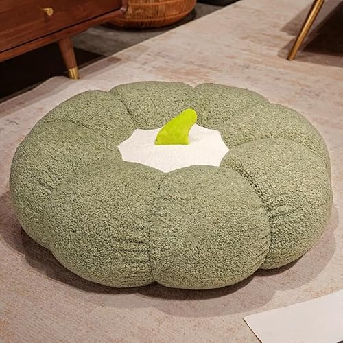 DSAoTeng Kürbis-Überwurfkissen, Plüsch-Teddy-Fleece, runder Pouf, Bodenkissen mit PP-Baumwollfüllung, weiches 3D-Kürbiskissen für Sofa, Bett, Stuhl, Rückenlehne, Urlaubsdekoration (#6,45 x 15 cm) von DSAoTeng