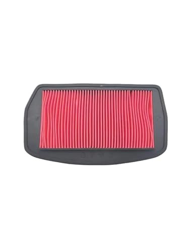 DSDBDNN Kompatibel mit Yamaha FZ6 FZ6-N FZ6-NA FZ6-NAHG FZ6-NHG FZ6-NS FZ6-S FZ6-S2 FZ6S FZ 6 6S 6N 2004-2009 Motorrad Luftfilter Saugreiniger von DSDBDNN
