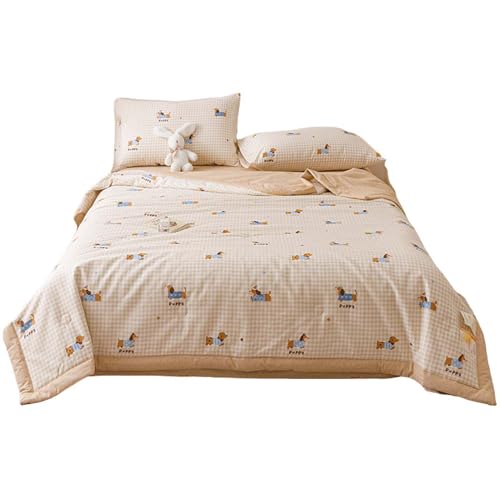 DSFHVBDD Leichte Sofadecke Für Sommer – Dünne Und Weiche Tagesdecke Aus Atmungsaktivem Material, Perfekte Sommerdecke Für Bett, Couch Oder Picknick, Auch Als Reisedecke Geeignet von DSFHVBDD