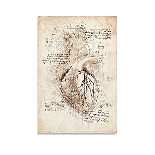 Poster, Motiv: menschliches Herz, 60 x 90 cm von DSGDS