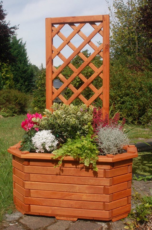 DSH DEKO SHOP HANNUSCH Blumenkasten Bk6lP Pergola braun von DSH DEKO SHOP HANNUSCH