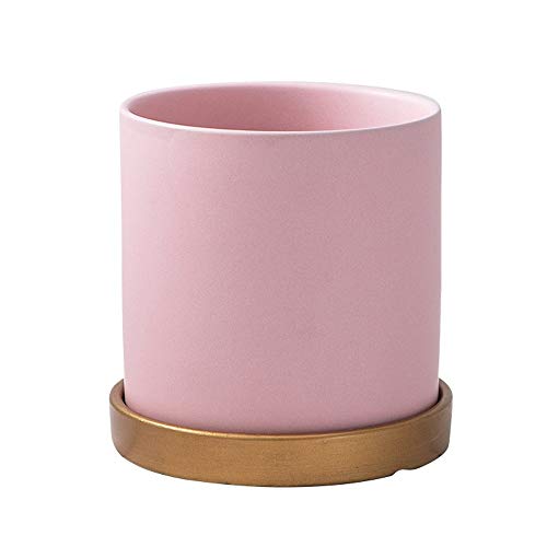 DSHUB Keramik-Blumentopf im modernen Stil, matt, nordischer Sukkulenten-Blumentopf, Keramik-Blumentopf, Kaktus-Pflanztopf, Heimdekoration, Behälter, Schreibtisch, Mini-Ornament (Farbe: Rosa, Größe DSHUB Keramik-Blumentopf im modernen Stil, matt, nordischer Sukkulenten-Blumentopf, Keramik-Blumentopf, Kaktus-Pflanztopf, Heimdekoration, Behälter, Schreibtisch, Mini-Ornament (Farbe: Rosa, Größe von DSHUB