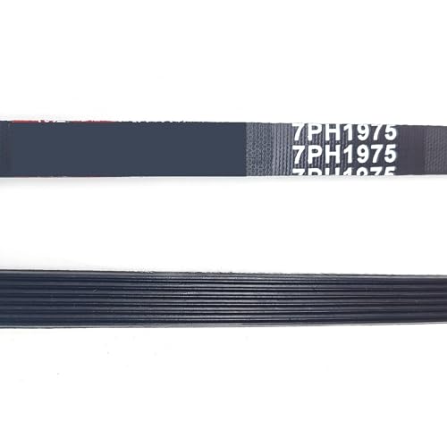 DSHYTDRF 1975 H7 7PH1975 DC66-00121A Trockner Trommel Antriebsriemen passend for for Samsung for zanussi for tricity for electrolux for AEG for Tumble(7PH1975-1pc) von DSHYTDRF