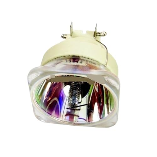 DSHYTDRF Lampe for 310/245W 1,0 E20.9 von DSHYTDRF