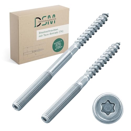 DSM – Stockschrauben M8 x 200 mm mit Torx-Antrieb (TX 25) Verzinkt – M6 bis M12, Doppelgewindeschrauben für Rohrschellen, SW 6mm, Holzverbindungen, Montagematerial – 100 Stück (Sparpack) von DSM-Verbindungstechnik