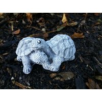 Steinfigur 2-Er Schildkröte Frostfest Steinguss Wetterfest Deko Garten Tier Steinfigur 2-Er Schildkröte Frostfest Steinguss Wetterfest Deko Garten Tier von DSSteinfigurenshop