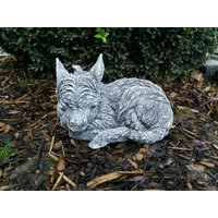 Steinfigur Eselbaby Liegend Esel Frostfest Wetterfest Steinguss Garten Deko Steinfigur Eselbaby Liegend Esel Frostfest Wetterfest Steinguss Garten Deko von DSSteinfigurenshop