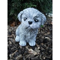 Steinfigur Hund Shih Tzu/Malteser , Havanese Frostfest Wetterfest Steinguss Steinfigur Hund Shih Tzu/Malteser , Havanese Frostfest Wetterfest Steinguss von DSSteinfigurenshop