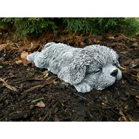 Steinfigur Hund Shih Tzu/Malteser Havanese Liegend Frostfest Wetterfest Steinguss Steinfigur Hund Shih Tzu/Malteser Havanese Liegend Frostfest Wetterfest Steinguss von DSSteinfigurenshop