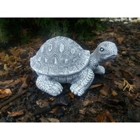 Steinfigur Mittlere Natürliche Schildkröte Frostfest Steinguss Wetterfest Steinfigur Mittlere Natürliche Schildkröte Frostfest Steinguss Wetterfest von DSSteinfigurenshop