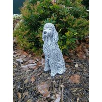 Steinfigur Pudel Sitzend Hund Königspudel Zwergpudel Wetterfest Steinguss Steinfigur Pudel Sitzend Hund Königspudel Zwergpudel Wetterfest Steinguss von DSSteinfigurenshop
