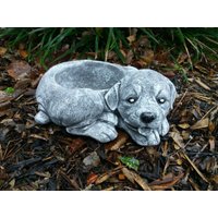 steinfigur Hundenapf Beagle Trinknapf Frostfest Haustier Hund Garten steinfigur Hundenapf Beagle Trinknapf Frostfest Haustier Hund Garten von DSSteinfigurenshop