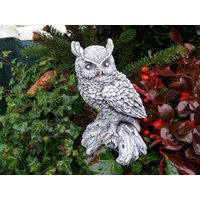 steinfigur Schöne Kleine Eule Kautz Schneeeule Uhu Frostfest Wetterfest steinfigur Schöne Kleine Eule Kautz Schneeeule Uhu Frostfest Wetterfest von DSSteinfigurenshop