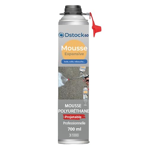DSTOCK60 - Polyurethan-Schaumstoff spritzbar - 750 ml - mit Applikator - für verschiedene Oberflächen geeignet - einfache und schnelle Anwendung von DSTOCK60