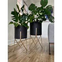 Anthrazit-Metall-Blumentöpfe Auf Goldfarbenem Blumenständer/Indoor-Blumentopf Outdoor-Wohnkultur von DSTUDIOhome