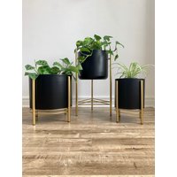 Blumentöpfe Aus Schwarzem Metall Auf Blumenständern in Gold von DSTUDIOhome