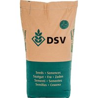 DSV - srem Sorghum öko (Sorghum sudanense) 1 Einh. (300.000 Körner) von DSV