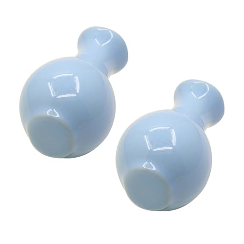 DSWZLQDXB 2 Stück Möbelgriffe Einloch Porzellan Keramikgriff Mehrfarbig Vasen-Design Design Türknöpfe für Kinder Niedlicher SchubladeKnauf Schrankknöpfe für Schränke,Wohnzimmer (blue) von DSWZLQDXB